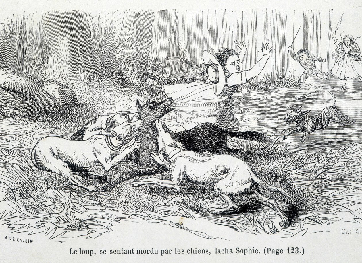 Sophie and the wolf - in 