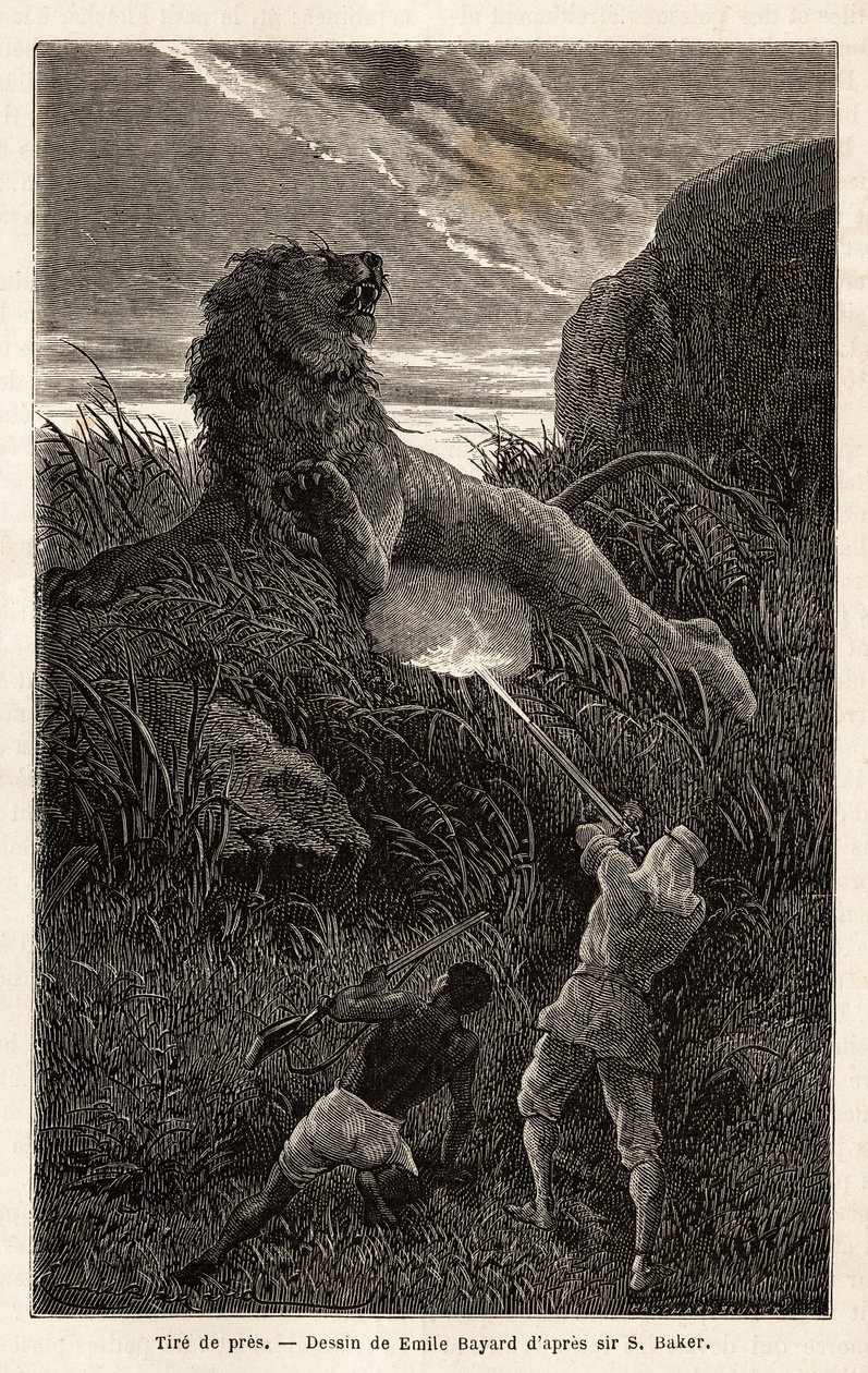 Surprised by a Lion During the Hike by Unknown artist