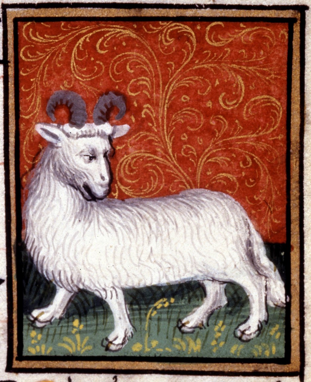 The Aries. Miniature of a Horoscope. 15th Century Manuscript. Bibl. Trivulziana, Milan by Unknown artist