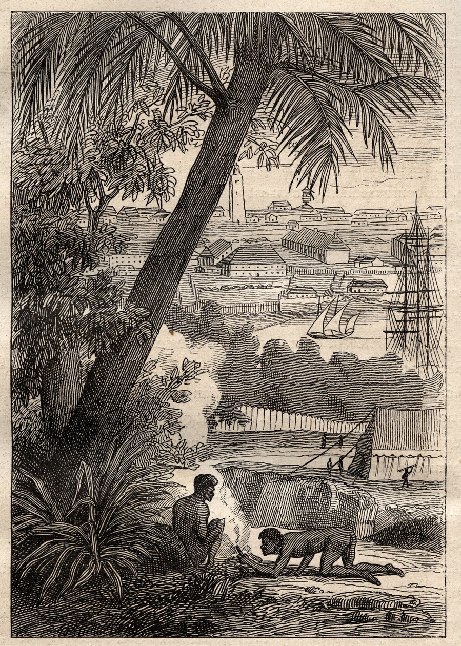 The Expedition to the Southern Lands by Nicolas Baudin: View of Sydney by Unknown artist
