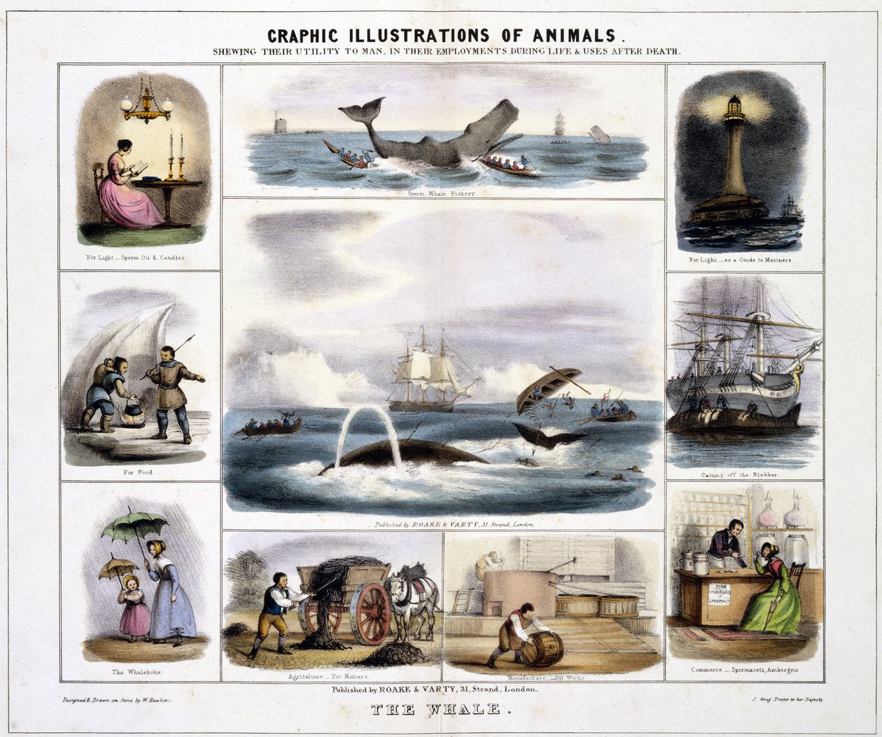 The Whale, c. 1845 by Unknown artist