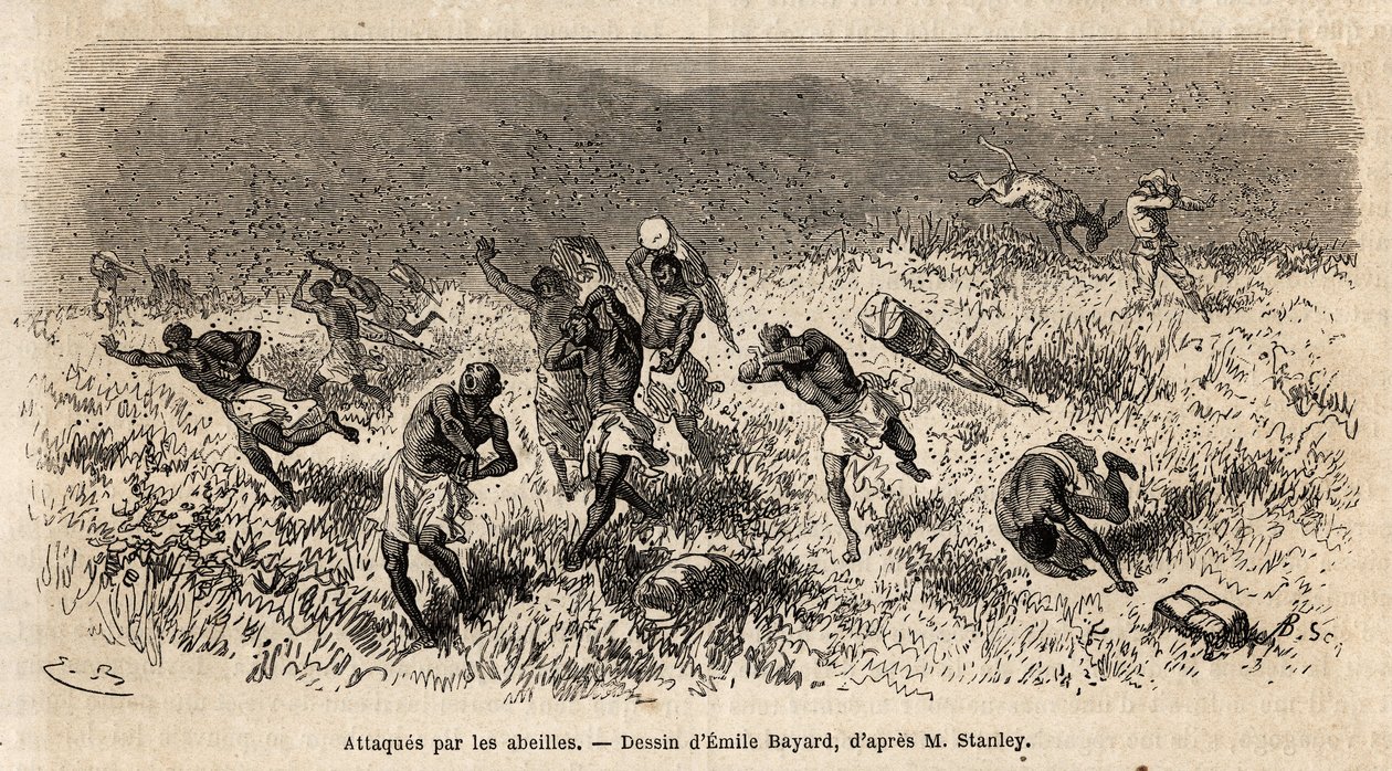 The caravan of carriers of Henry Morton Stanley