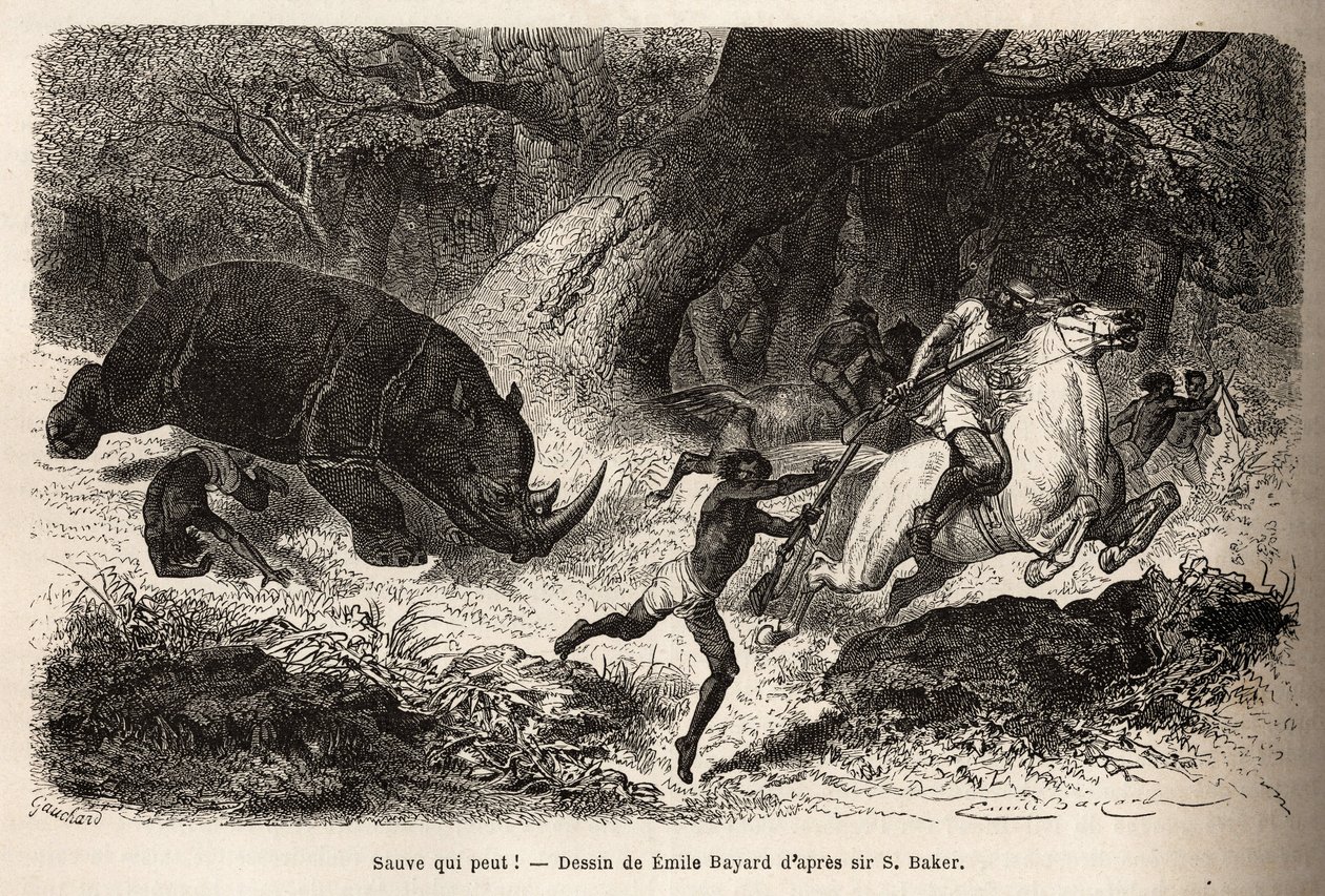 The Charge of the Rhinoceros by Unknown artist