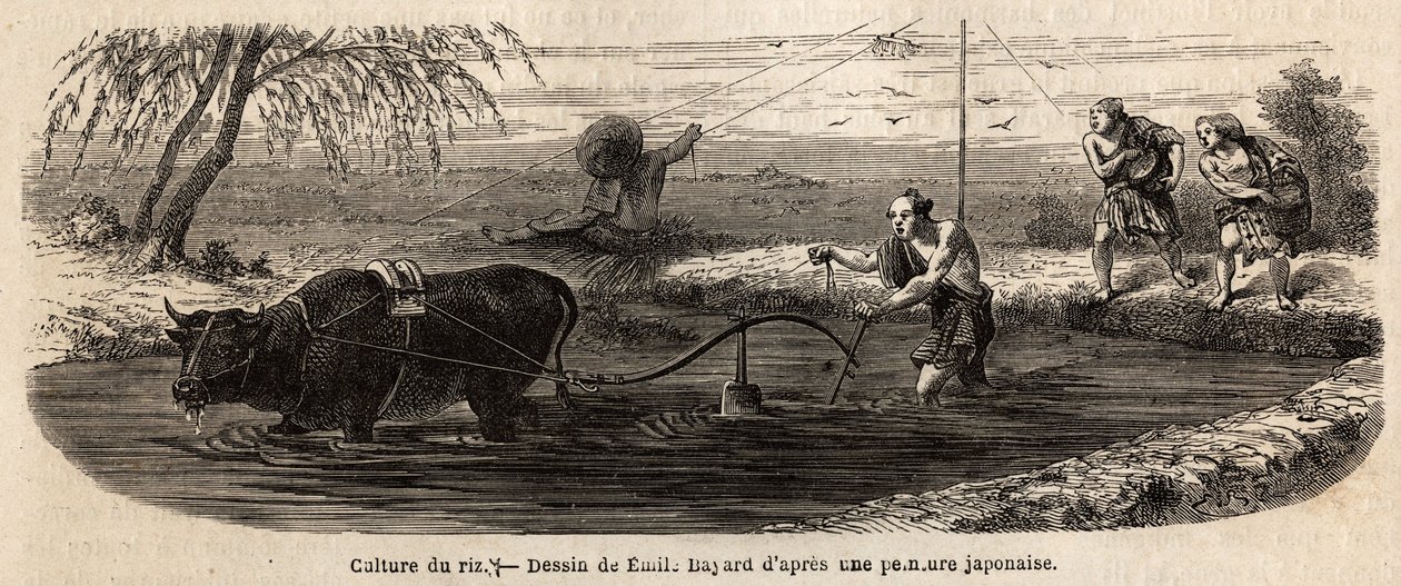 The Cultivation of Rice: First Stage by Unknown artist