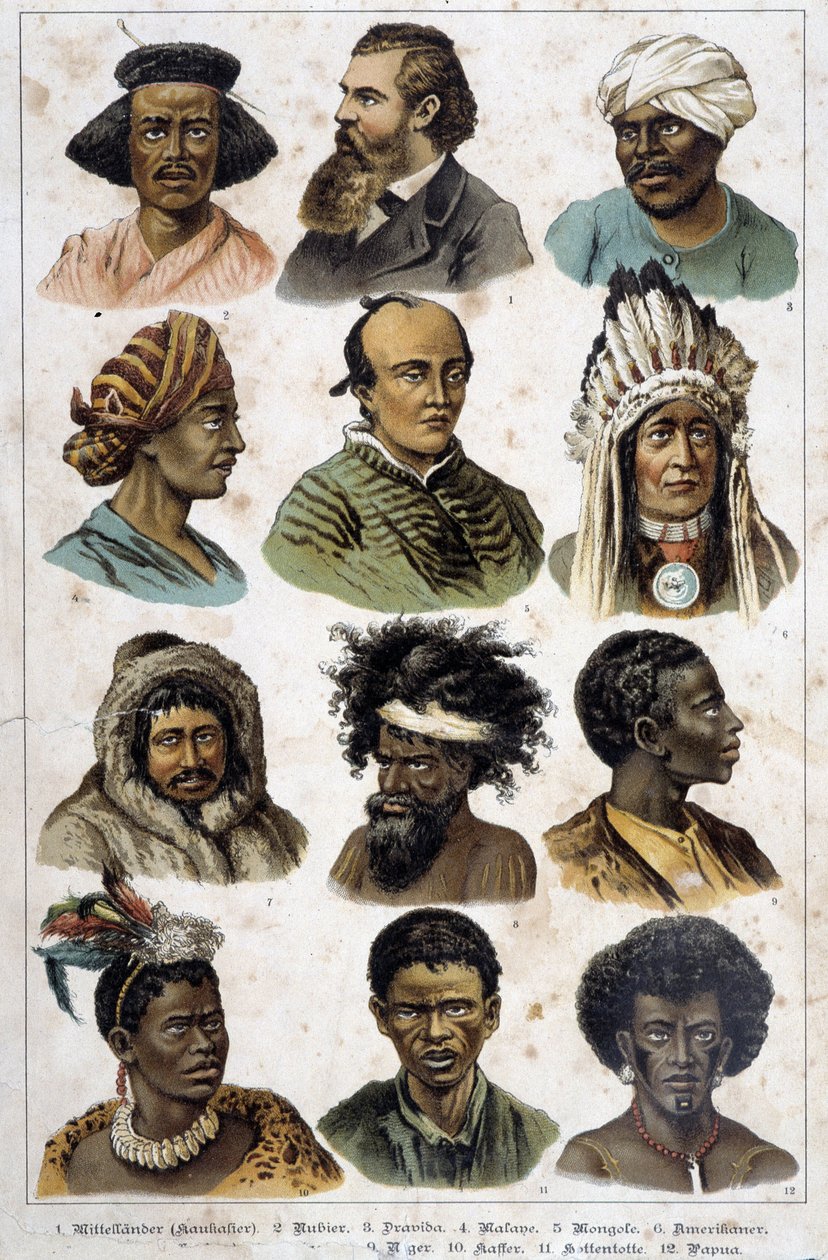 The different human races - in "Natural histories of mammals", ed. Schreiber by Unknown artist