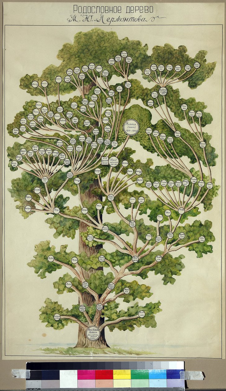 The Family Tree of Mikhail Lermontov by Unknown Artist