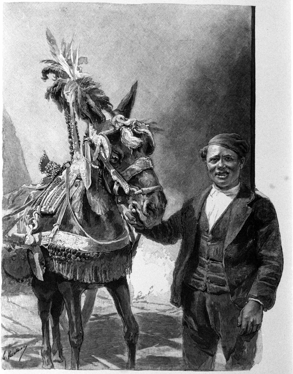 The harness of the donkey from the Sicilian tanks during traditional celebrations. Engraving of the 19th century by Unknown artist