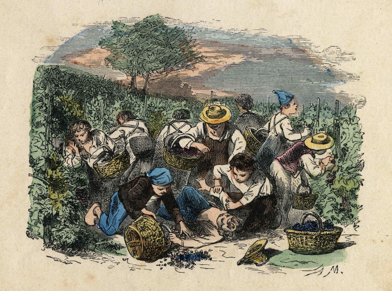 The Harvest. 19th century illustration. Bianchetti Collection by Unknown artist