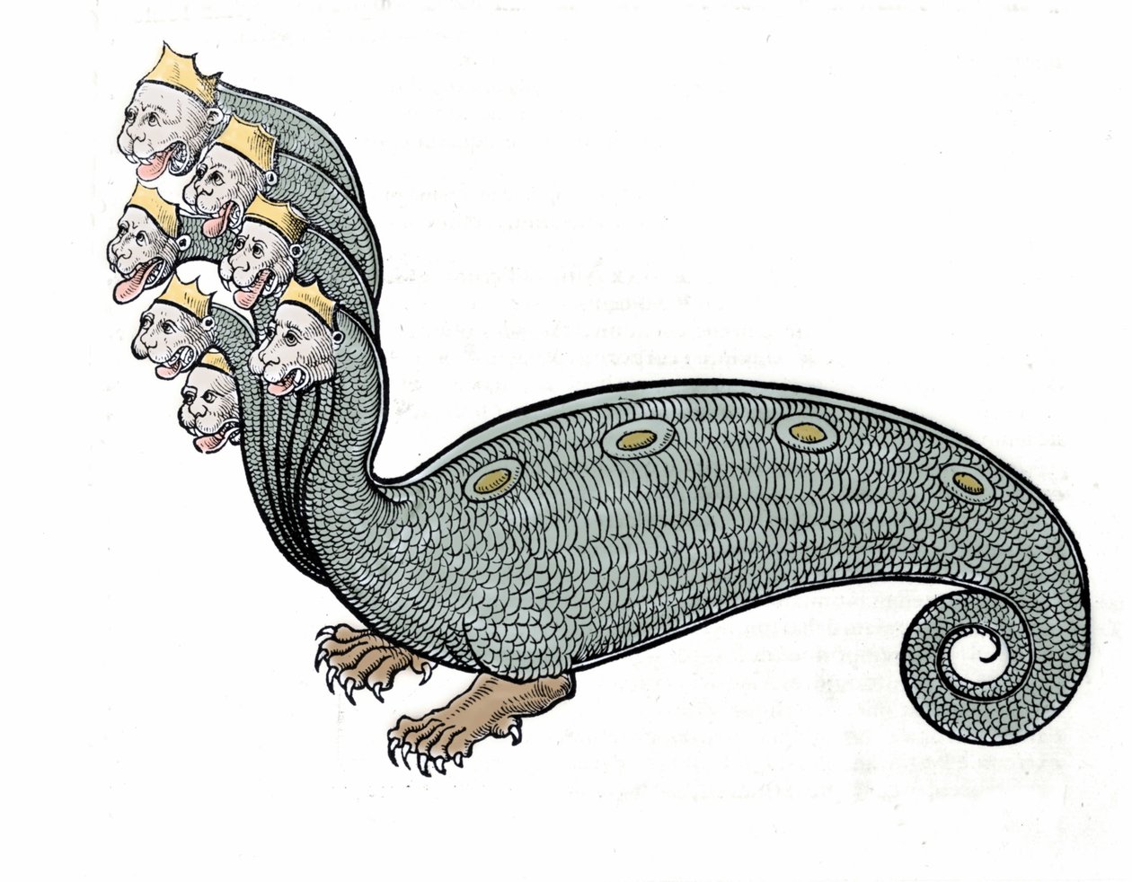 The hydra with the seven heads is a water snake with a dog