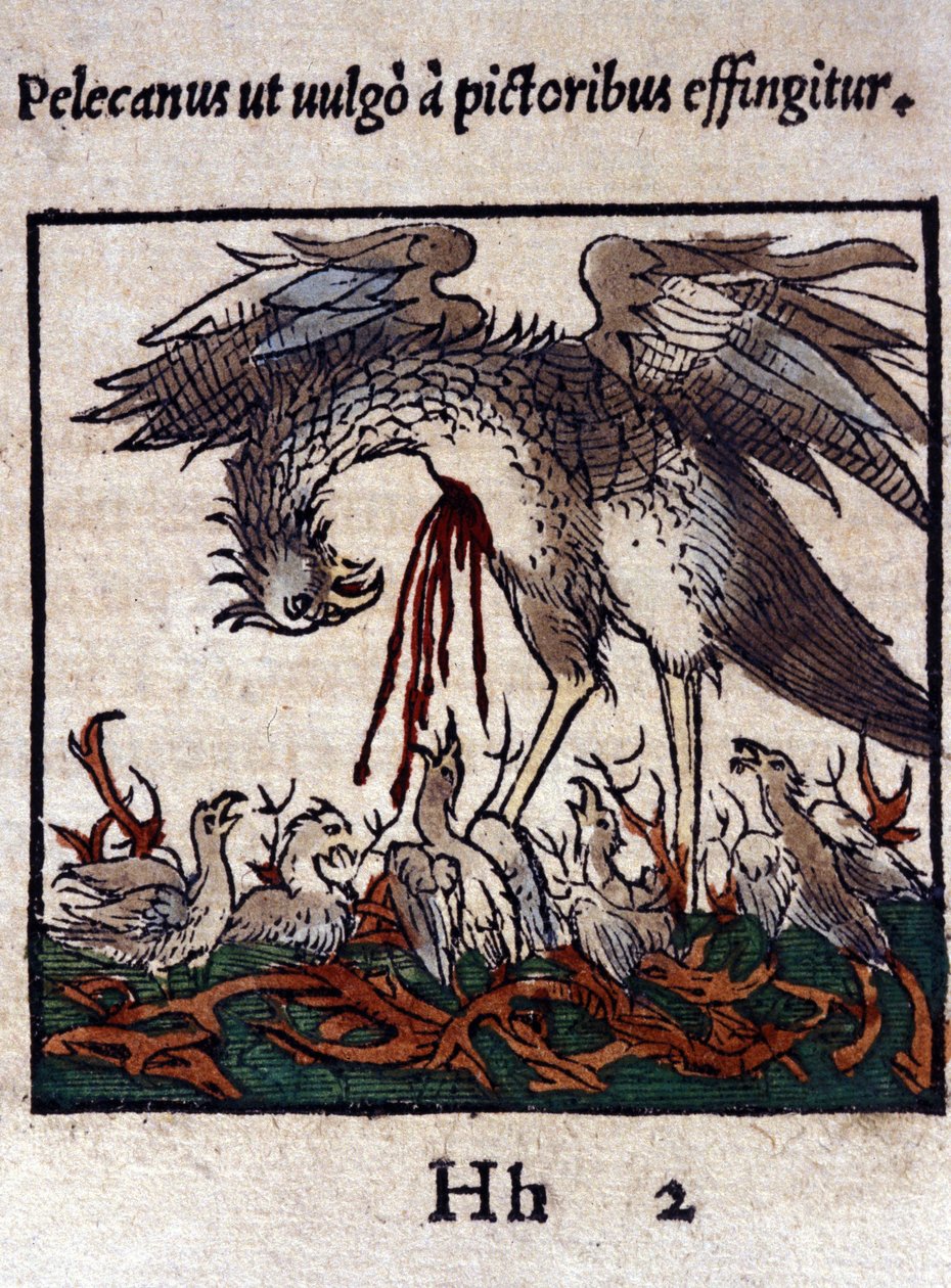 The legend of the pelican: he gives his blood and bowels to feed his young. From Historiae animalium by Konrad Gesner by Unknown artist