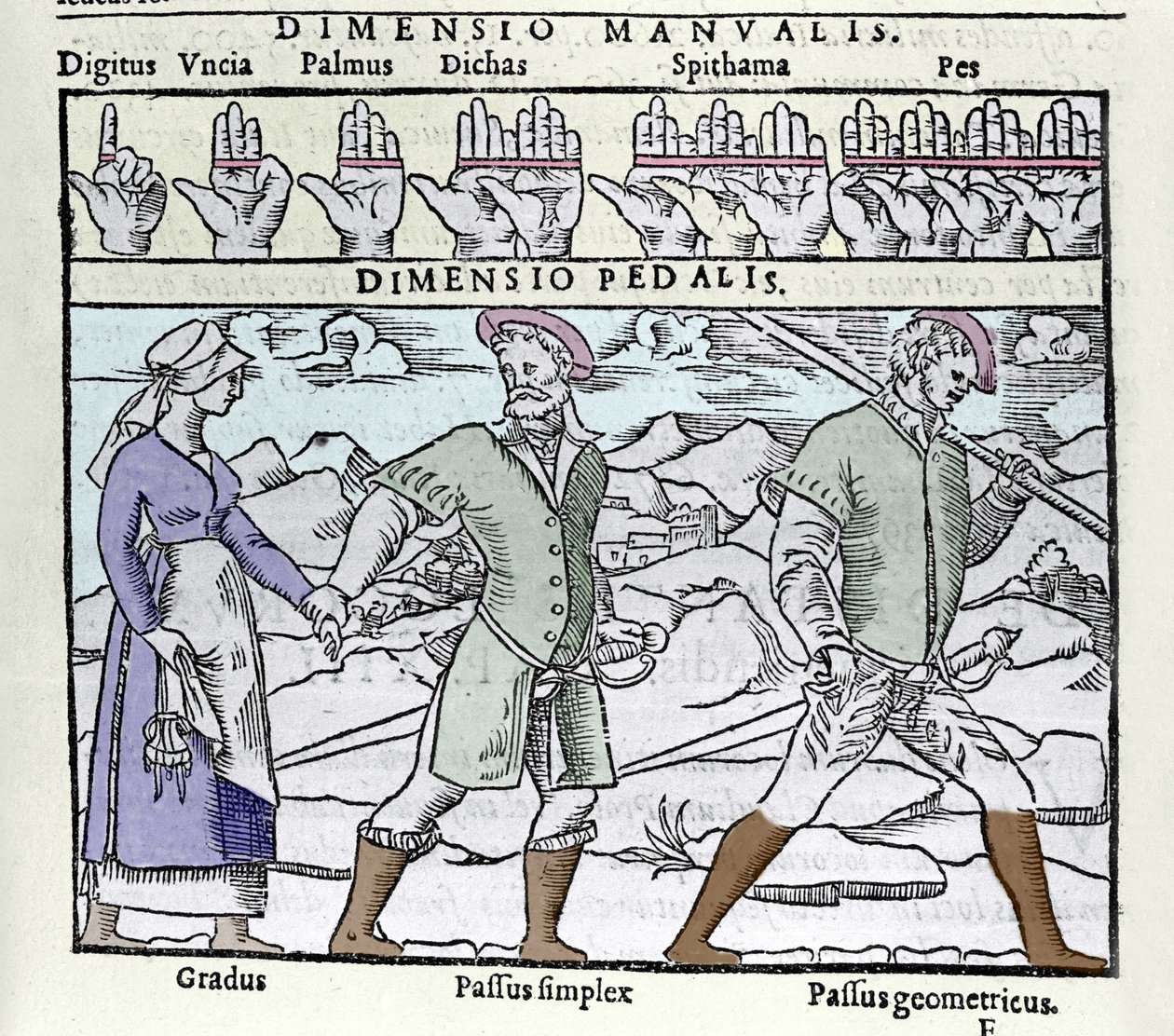 The length unit used in the 16th century. Top: digitus (finger or thumb), palmus (palm or empan = 4 fingers), pes (foot = 4 fins). Bottom: Gradus (not single), Passus (not double) simplex and Passus geometricus. Engraving from the “Cosmographia” by Petrus by Unknown artist