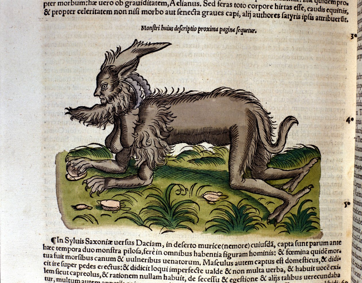 The manticore from the Historia Animalium by Conrad Gesner, Tiguri 1560. Biblioteca nazionale Braidense. Milan by Unknown artist