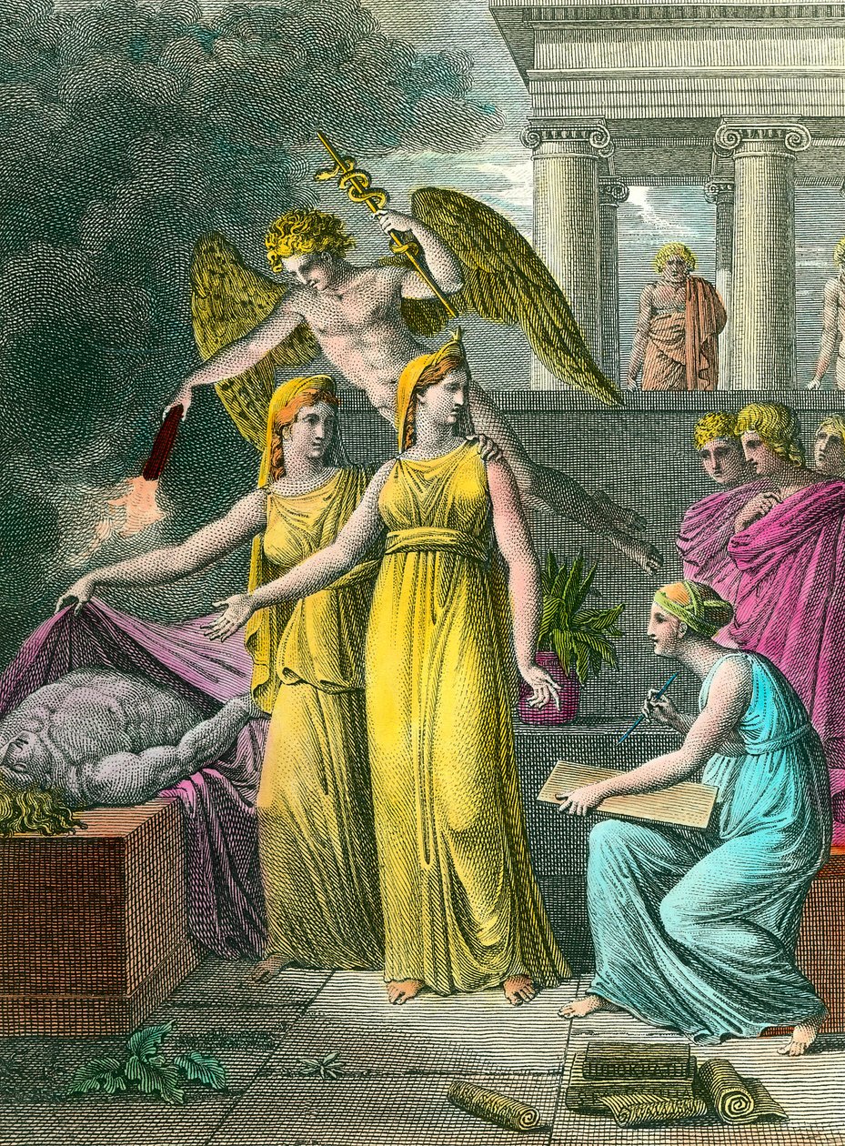 The medicine led by the study has new anatomical observations by Unknown artist