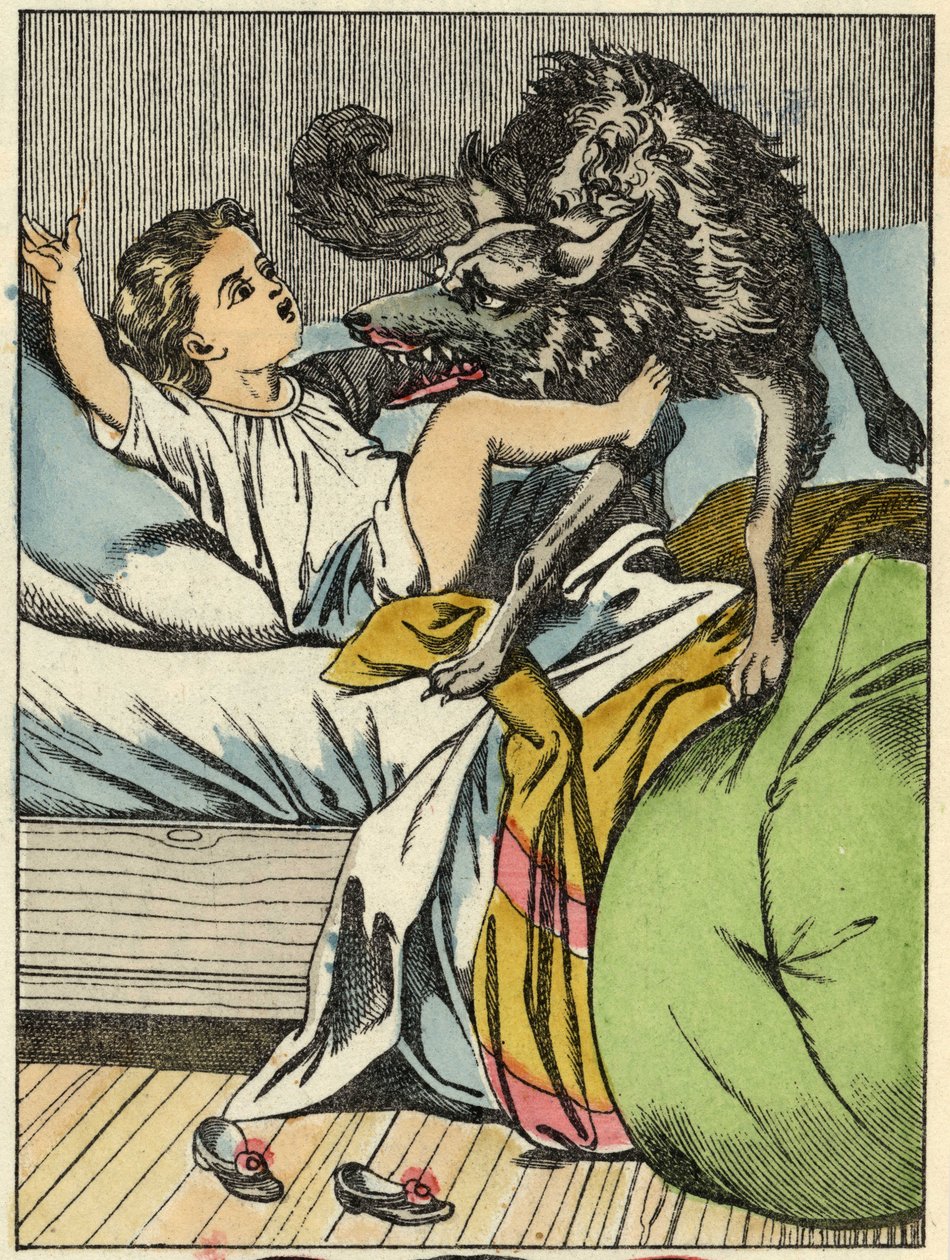 The Wolf Beats Little Red Riding Hood. Illustration of 