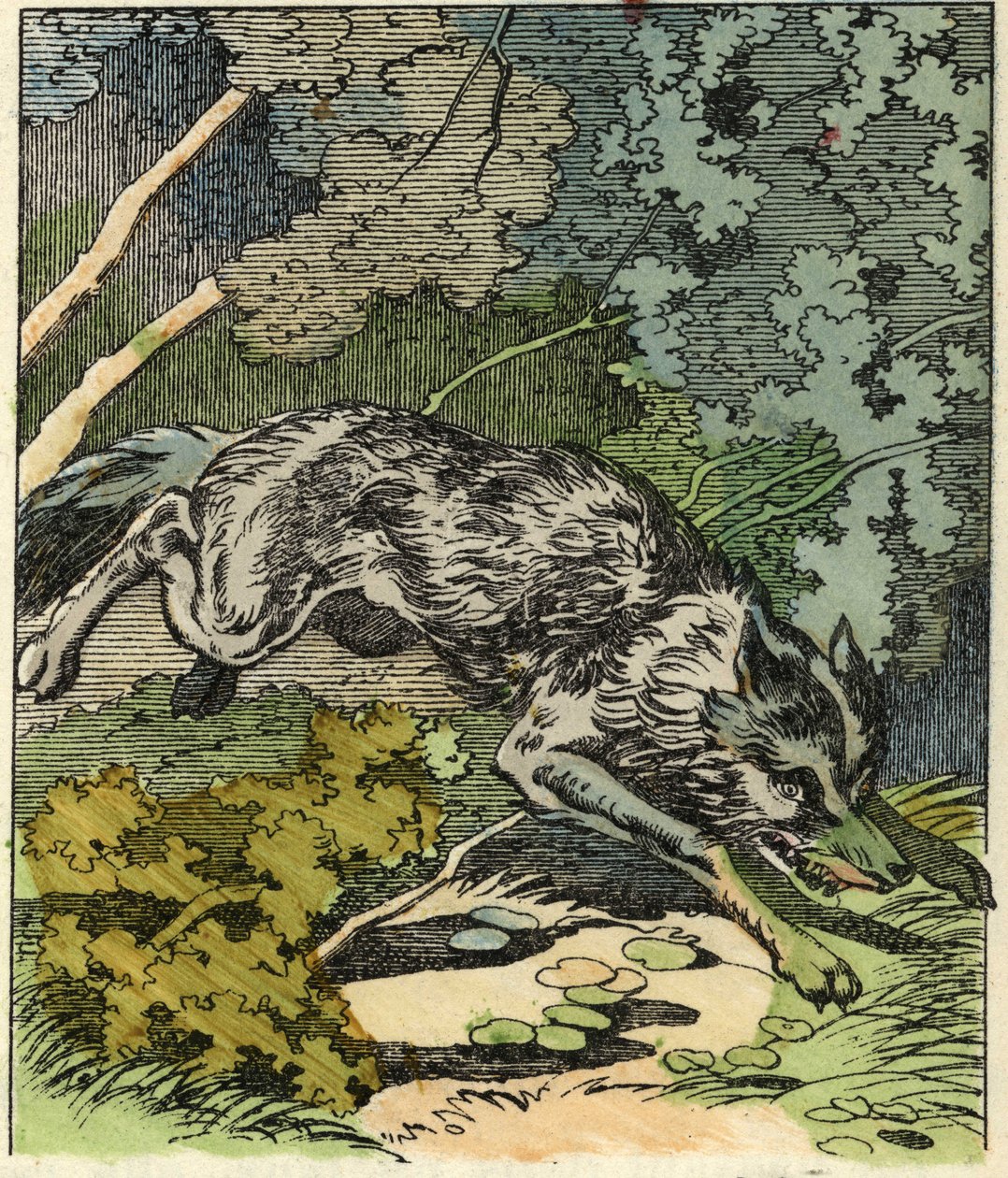 The wolf runs to Grandma