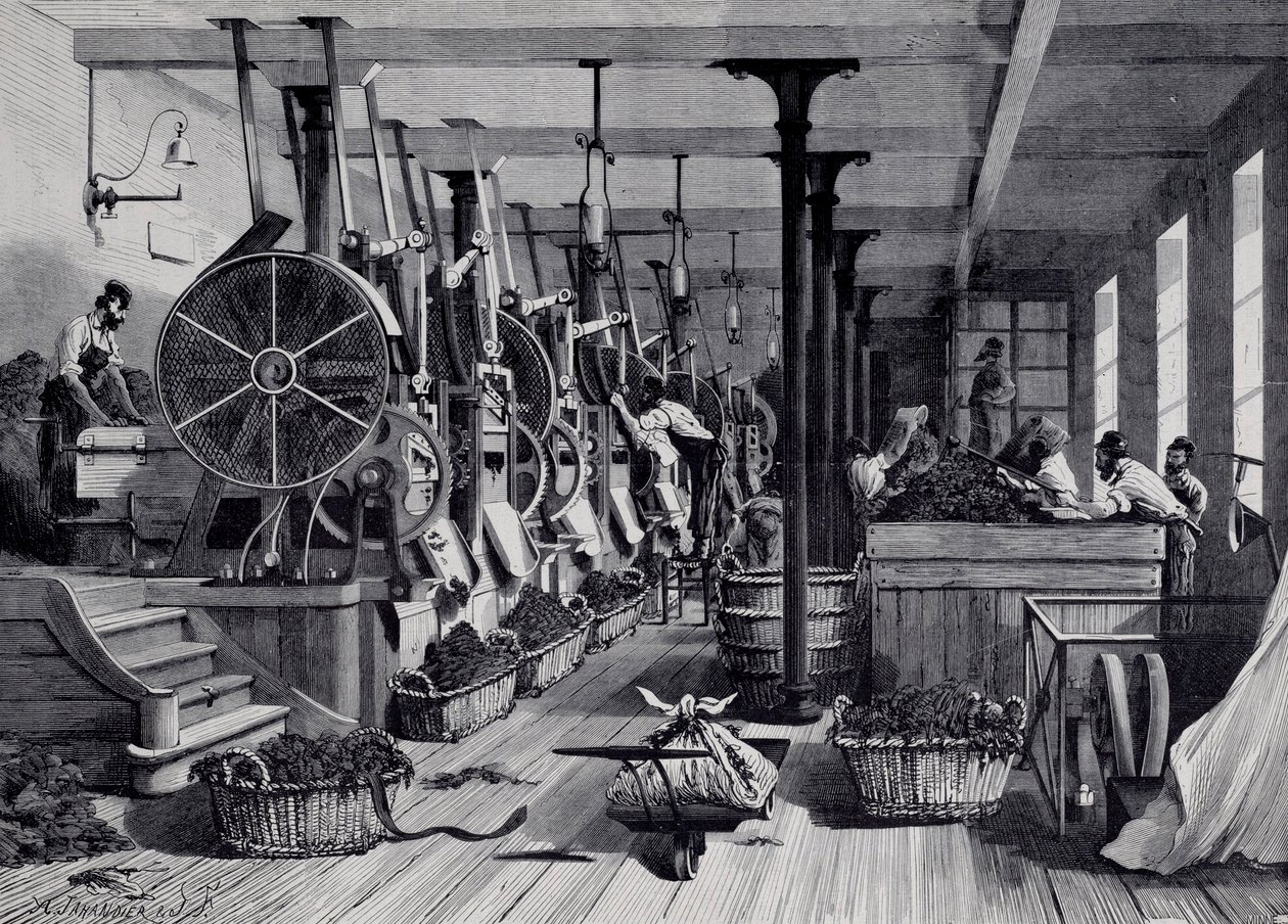Tobacco factory, laundry room and tobacco rapage. Engraving around 1867. by Unknown artist