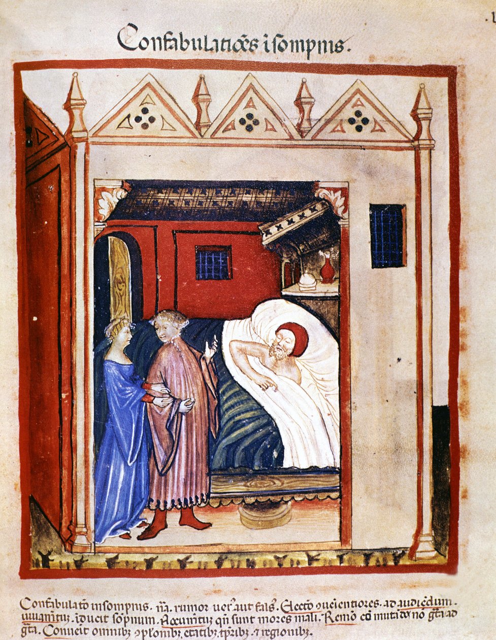 Treatise of medicine “” Tacuinum sanitatis”” 14th century: people talking during their sleep. 14th century. B.N, Vienna. by Unknown artist