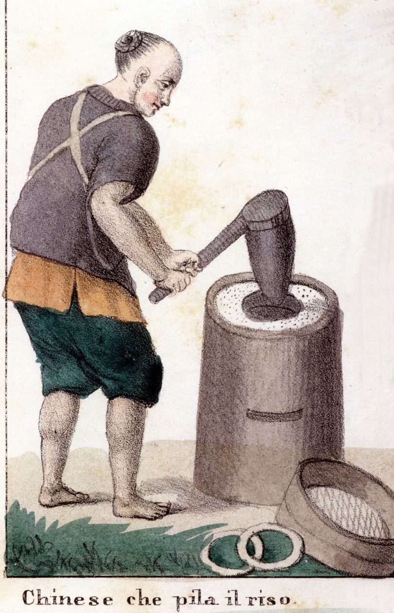 A Chinese Man Pillaging Rice - in Il Costume Universale di Tutti i Popoli del Mondo (The Universal Costume of All the Peoples of the World) by Unknown artist