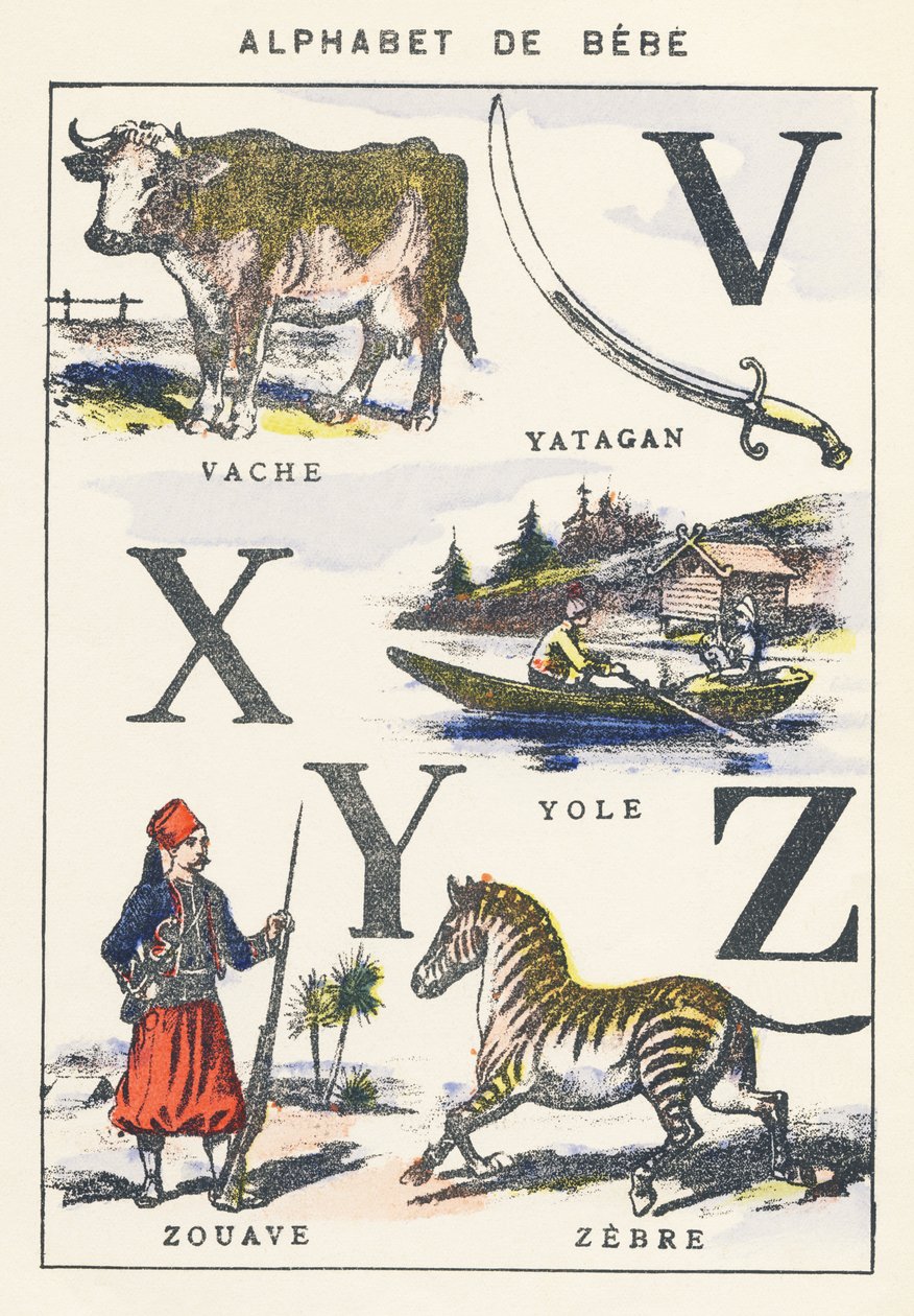 V X Y Z: cow, yole, zouave, zebra by Unknown artist