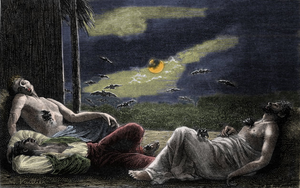 Vampire bat sucking the blood of men asleep on full moon nights. Engraving of the 19th century by Unknown artist