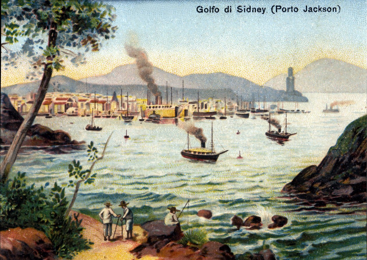 View of Port Jackson (Sydney Harbour) in Australia in the 19th Century by Unknown artist