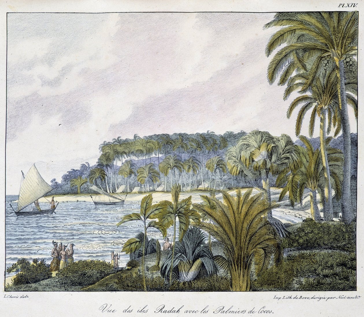 View of the Radak Islands of the Marshall Islands archipelago by Unknown artist