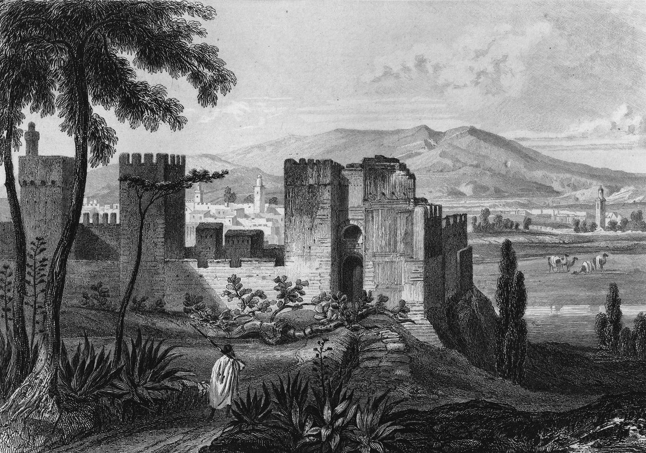 View of the enclosure of Tlemsen (or Tilimsen) in Algeria in the 19th century, in 