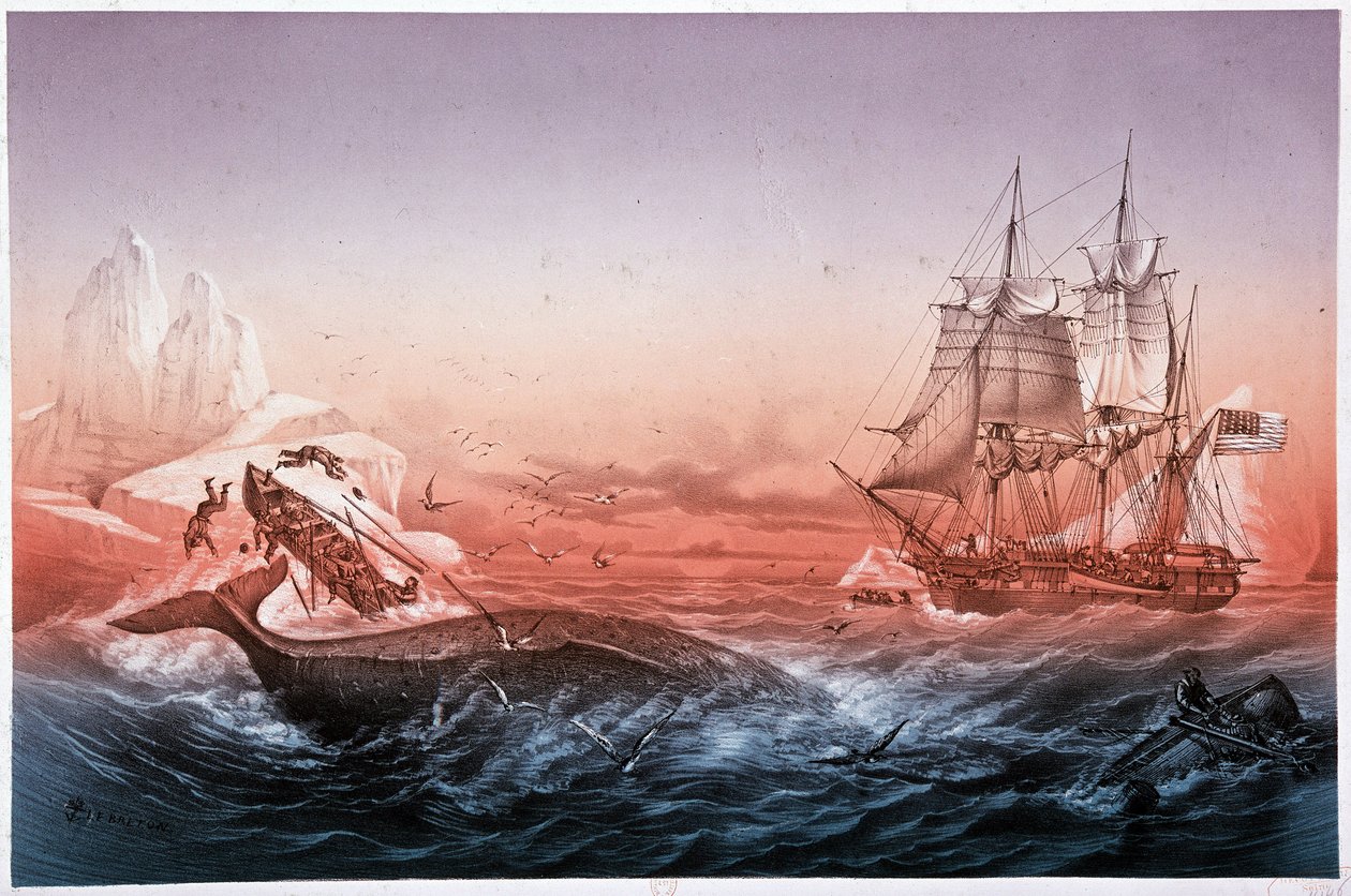 Whaling vessel failed to rescue its whale capsized boats by Unknown artist