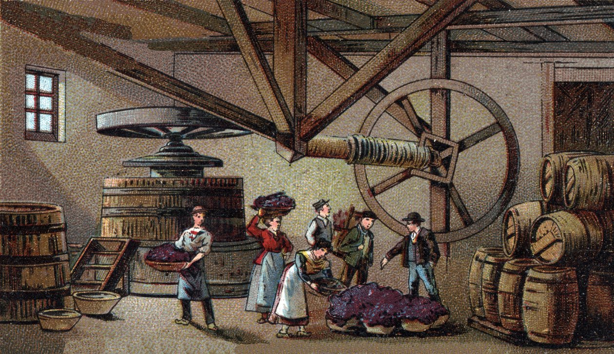 Wine production: wine press of the hospice of Beaune by Unknown artist