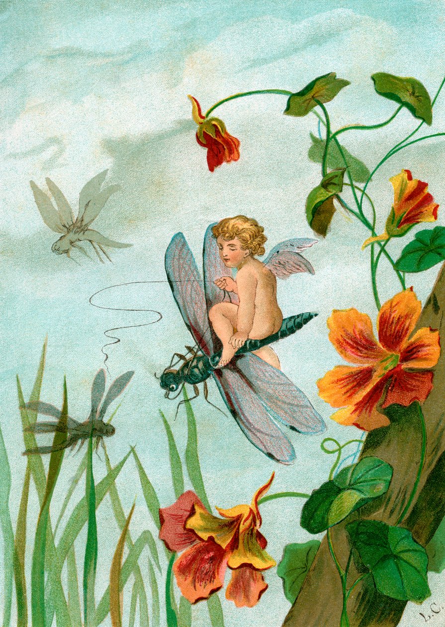 Winged Fairy Riding a Dragonfly near Nasturtium Flowers by Unknown artist