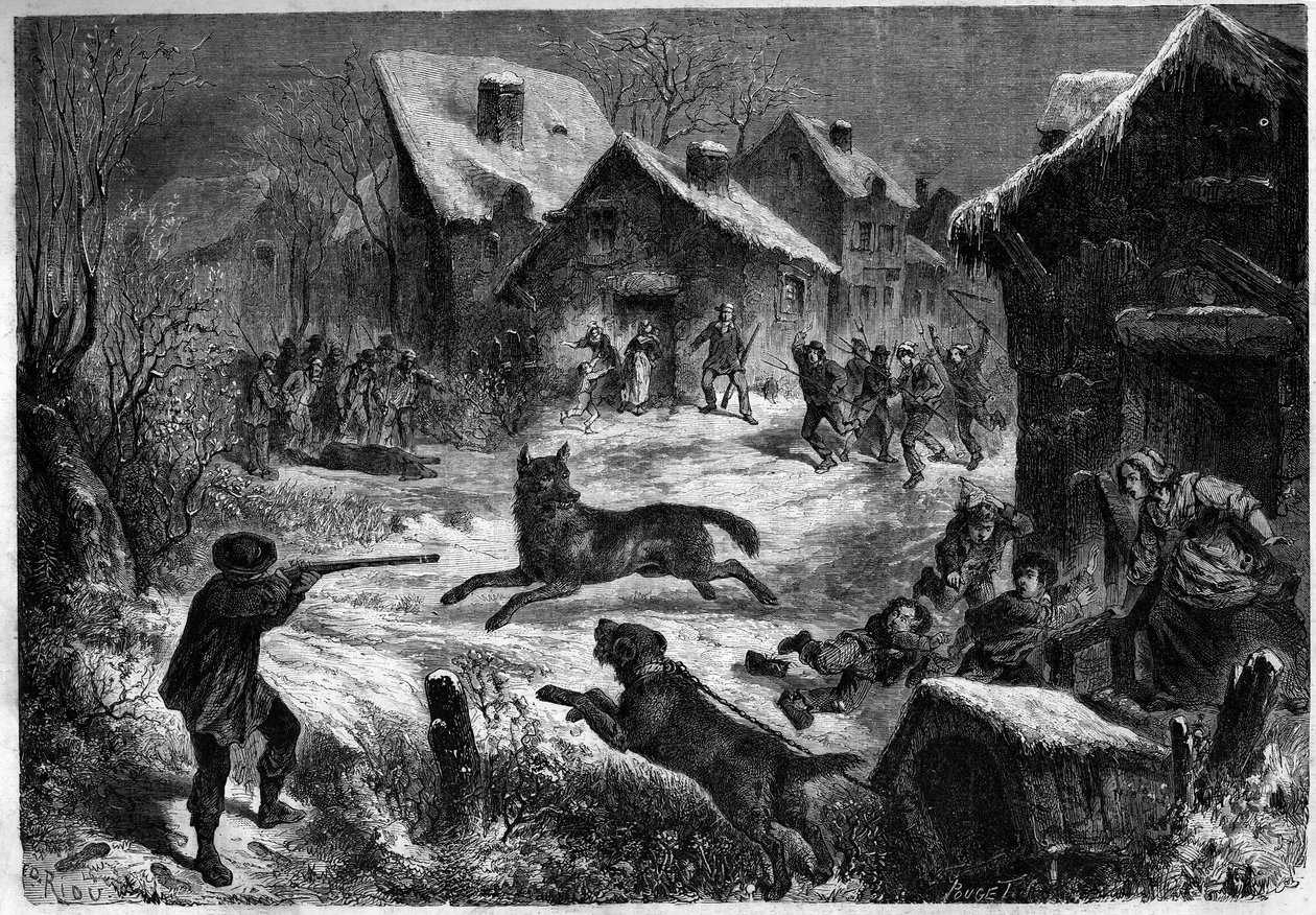 Wolf hunting in the village of Saliers, Bouches du Rhone, 31 December 1860. Engraving in 