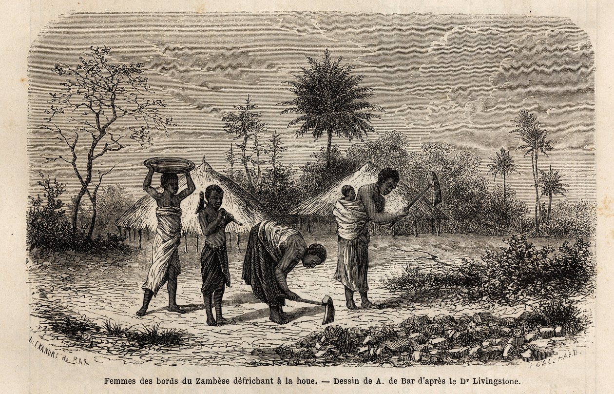 Women from the banks of the Zambeze defriching a hoe by Unknown artist