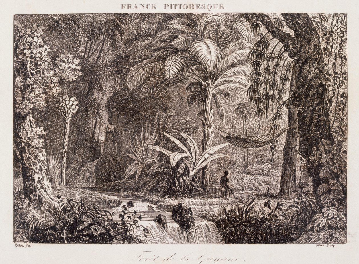Engraving Depicting the French Colony of Guyana in South America 1850 by Unknown artist