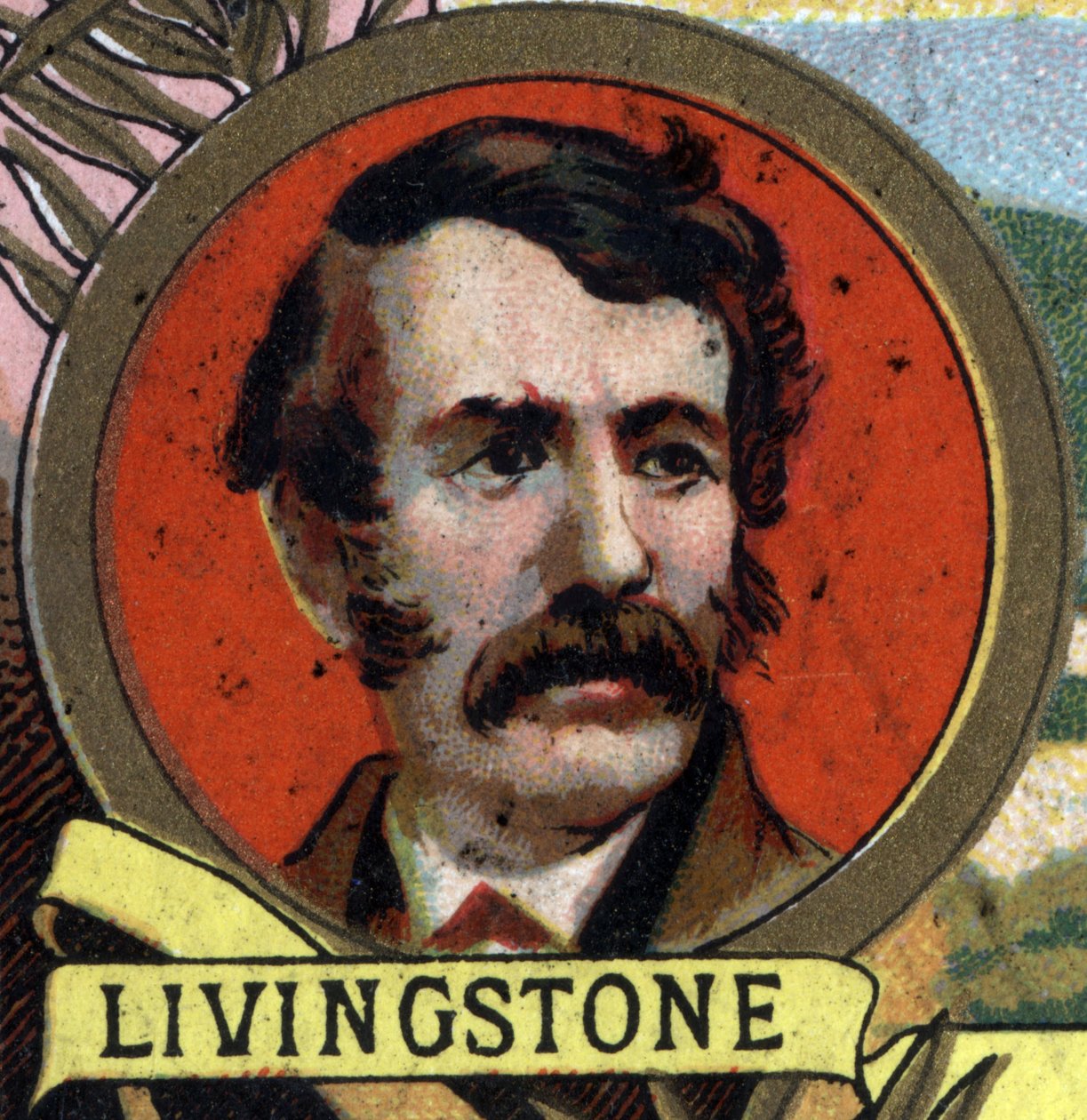 Portrait of David Livingstone (1813-1873) Scottish missionary and explorer. Chromolithography of the late 19th century by Unknown artist