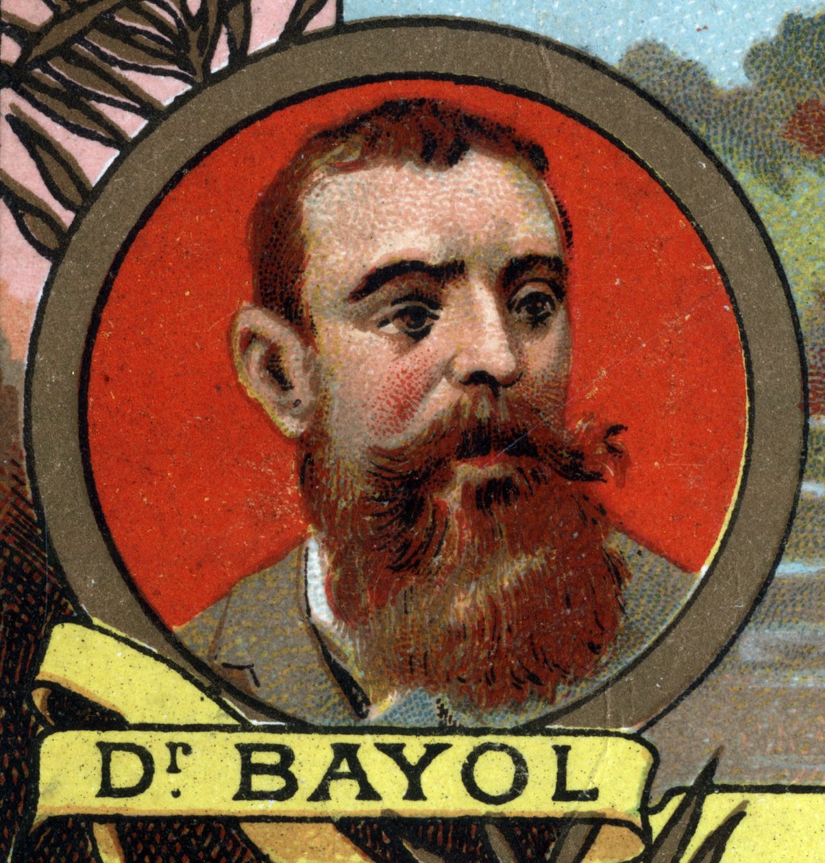 Portrait of Dr. Bayol, Explorer of Upper Niger by Unknown artist