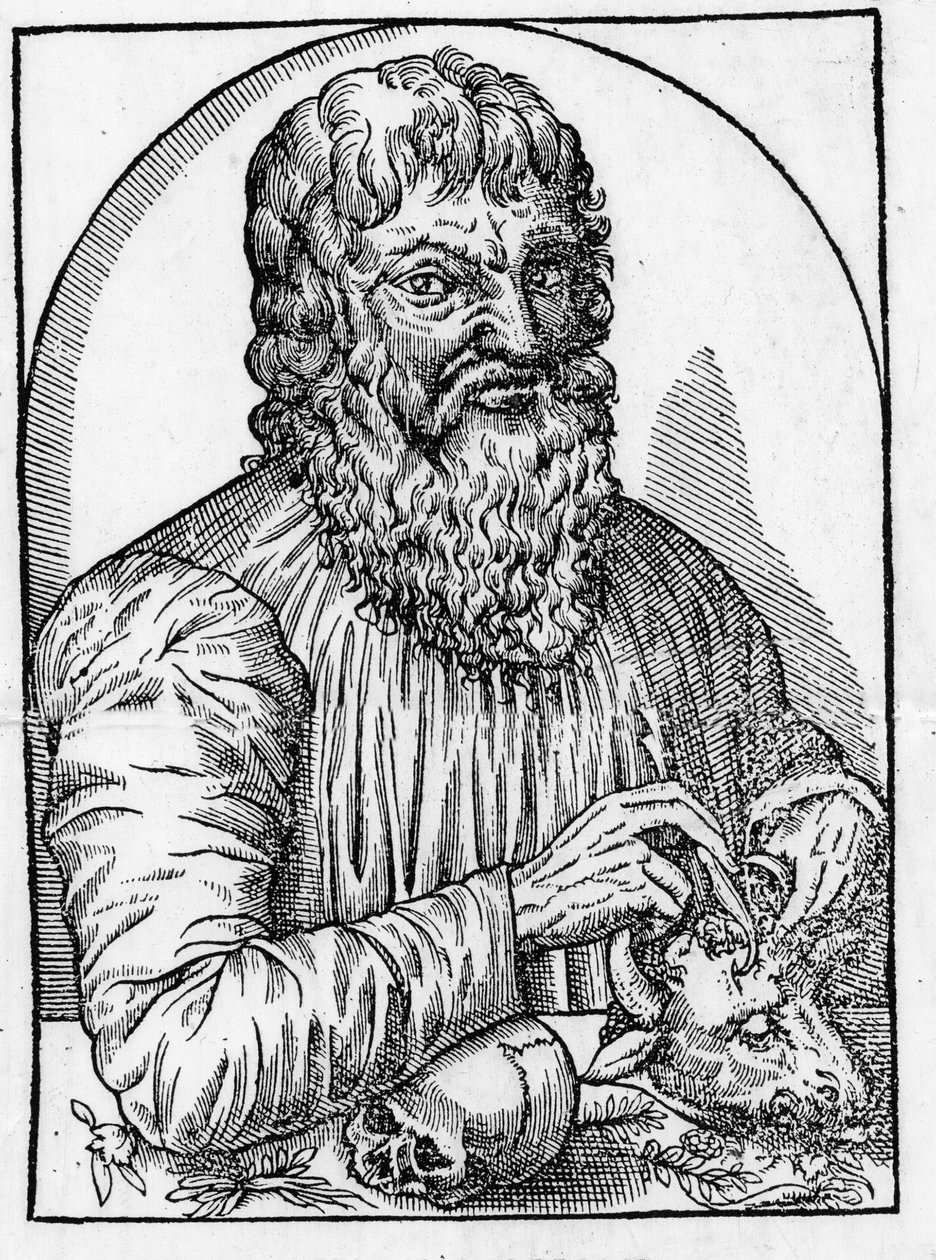 Portrait of Hippocrates (460- around 377 BC), Greek doctor by Unknown artist