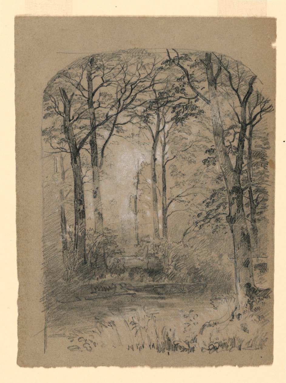 Woodland Study by Unknown artistUnknown artist