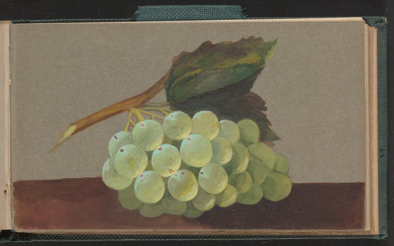 A Bunch of Grapes by Unknown artist