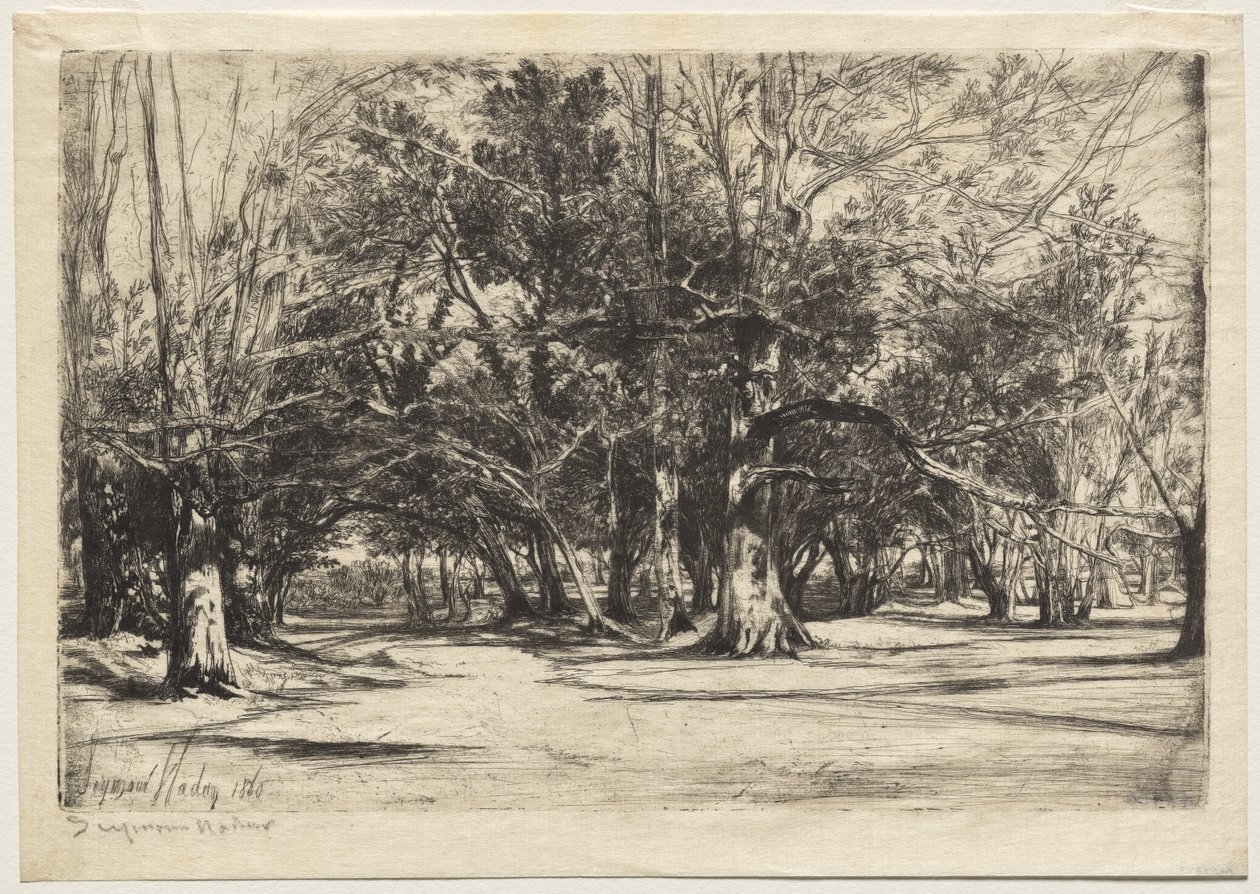 A By-Road in Tipperary by Unknown artist