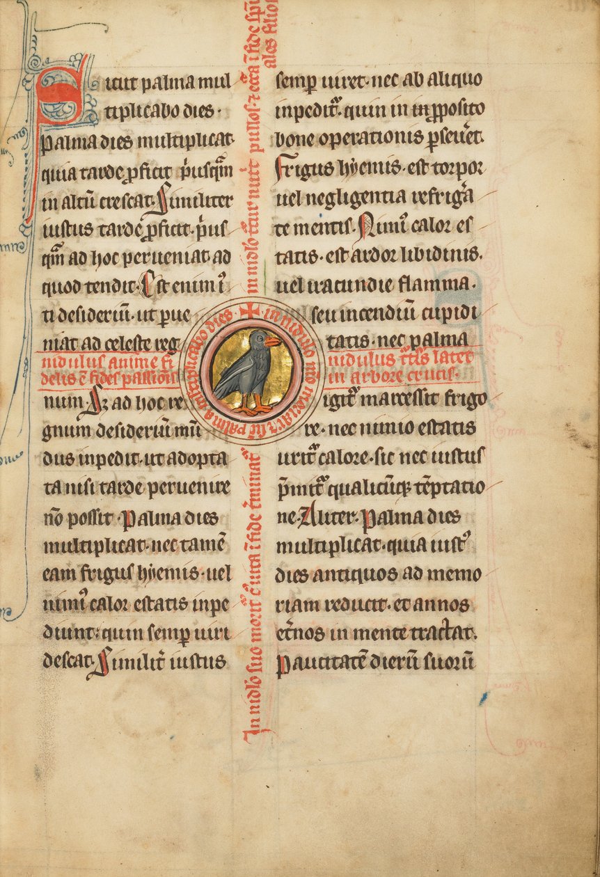 A Medallion with a Turtle Dove by Unknown artist