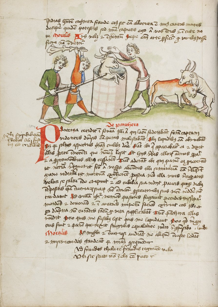 A Panther, Which Attacked a Cow, is Slain by Unknown artist