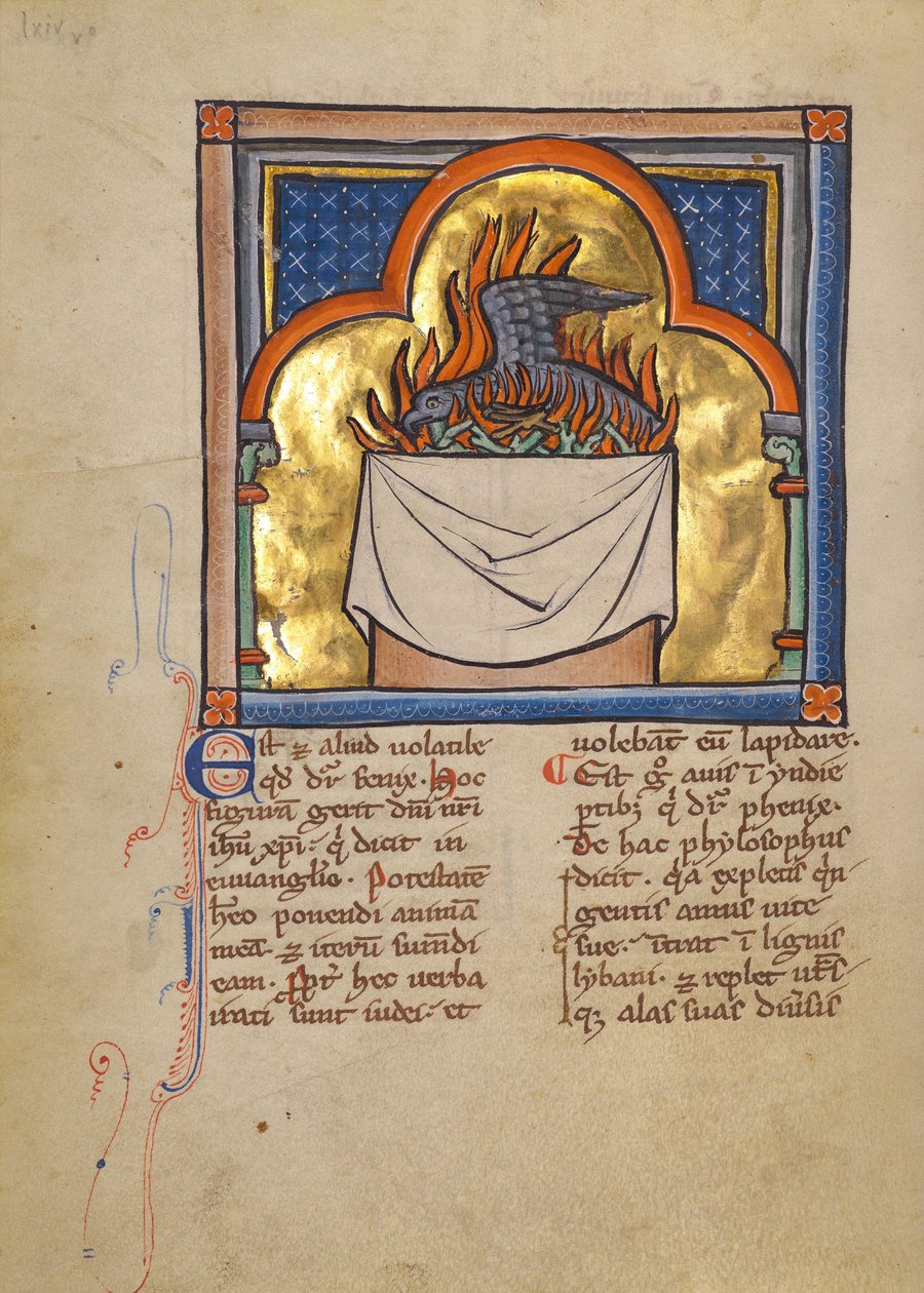 A Phoenix by Unknown artist