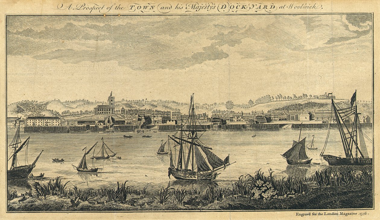 A Prospect of the Town and his Majesty