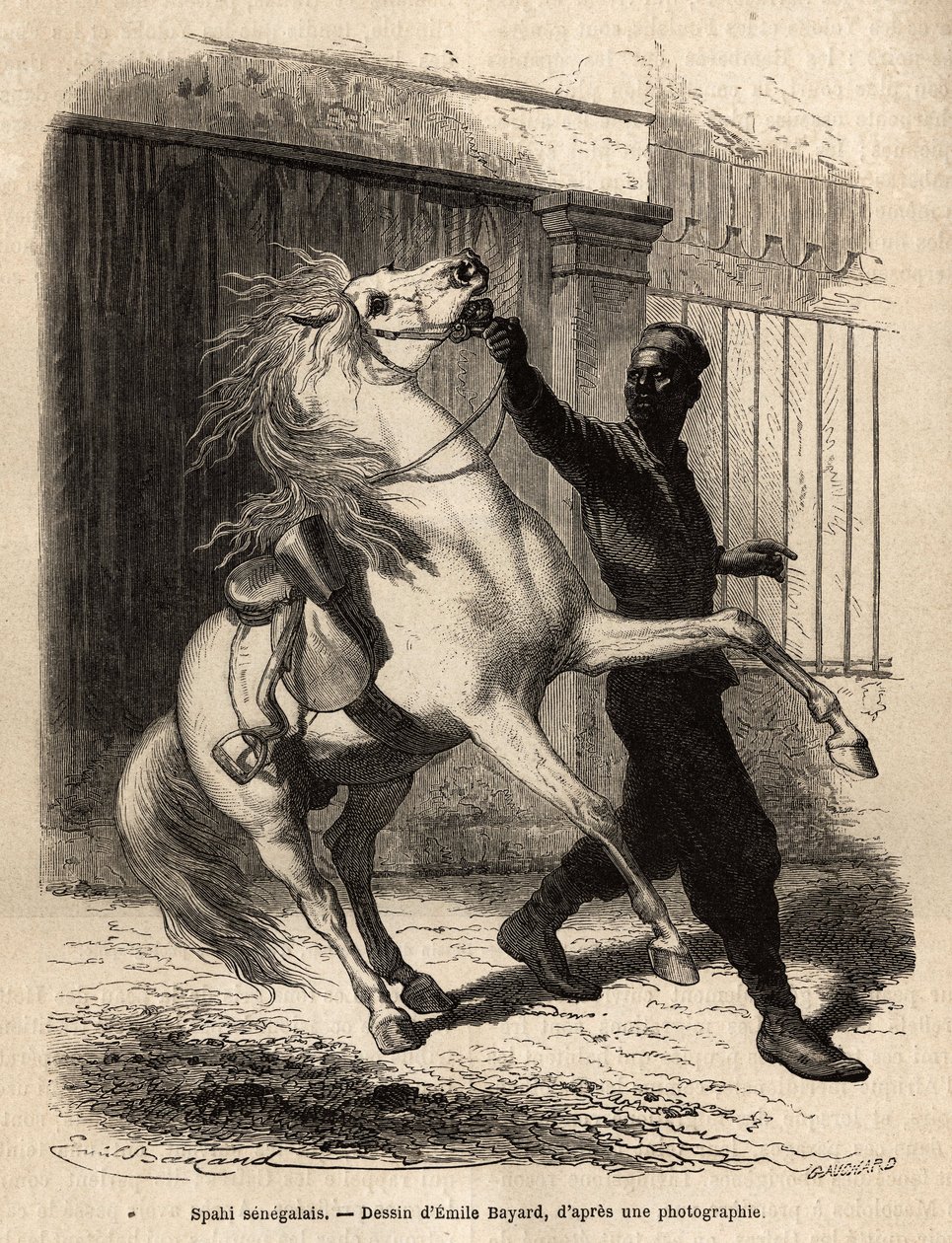 A Senegalese spahi (cavalier) in Saint-Louis. Engraving to illustrate a cruise on the coast of Africa by Unknown artist
