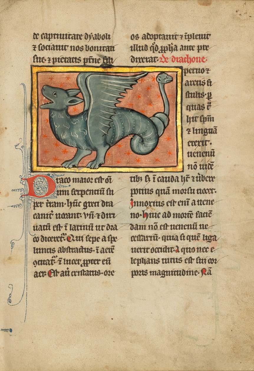 A Winged Dragon by Unknown artist