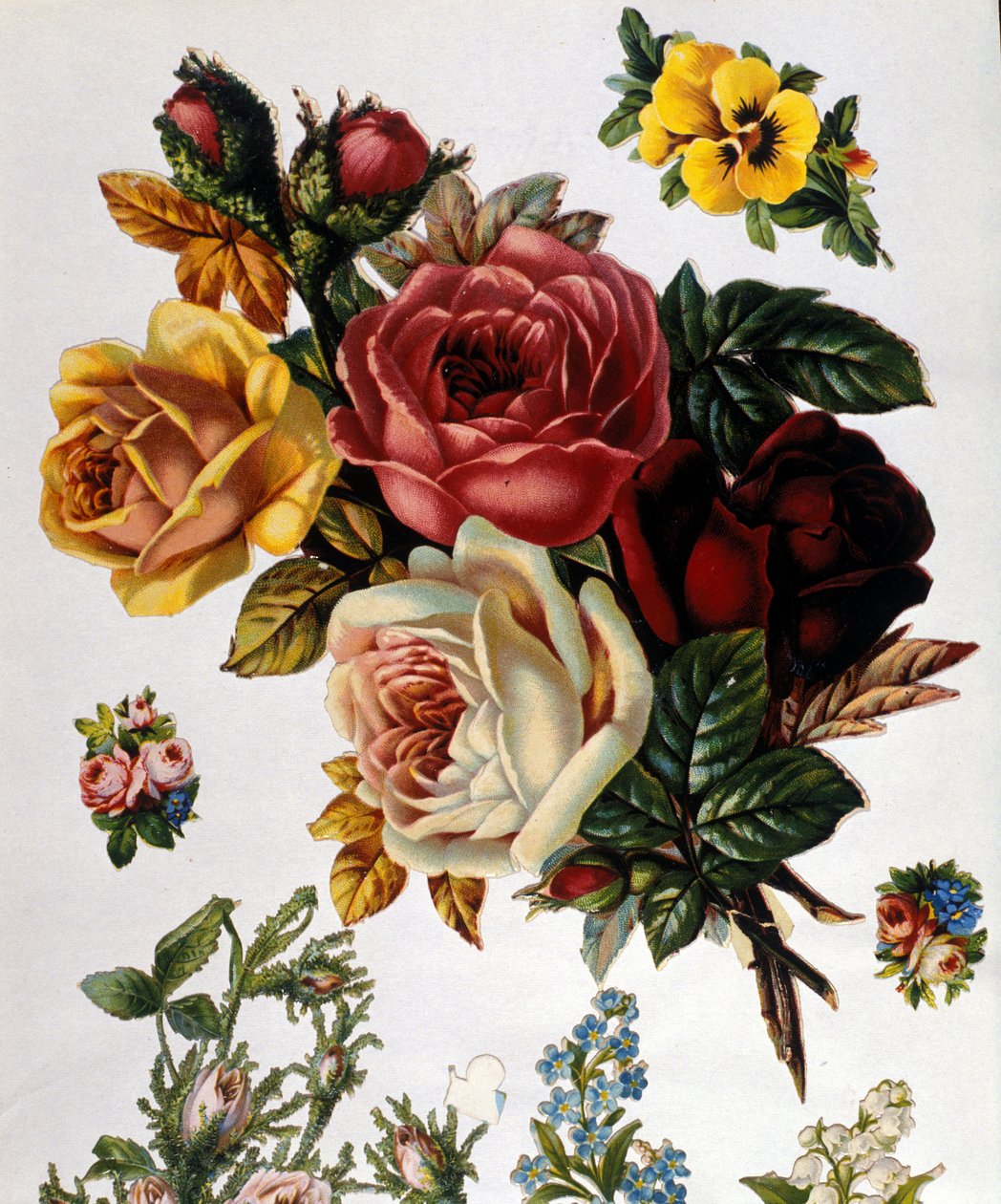 A Bouquet of Roses by Unknown artist