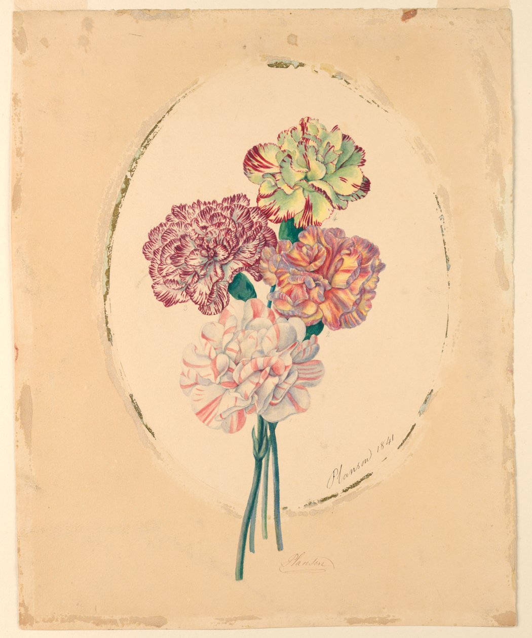 A Bunch of Four Carnations by Unknown artist