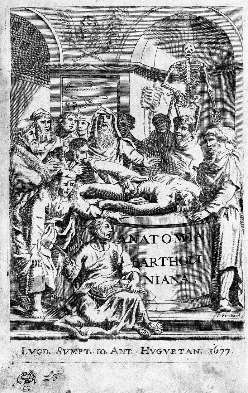 An anatomy lesson. Frontispiece taken from 