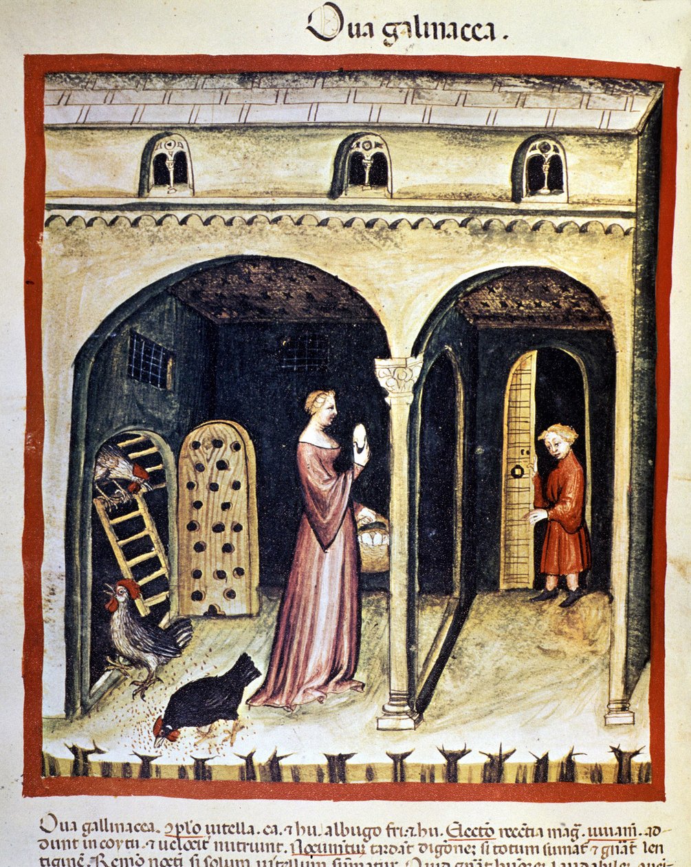 A young woman picks up chicken eggs. Illumination from 
