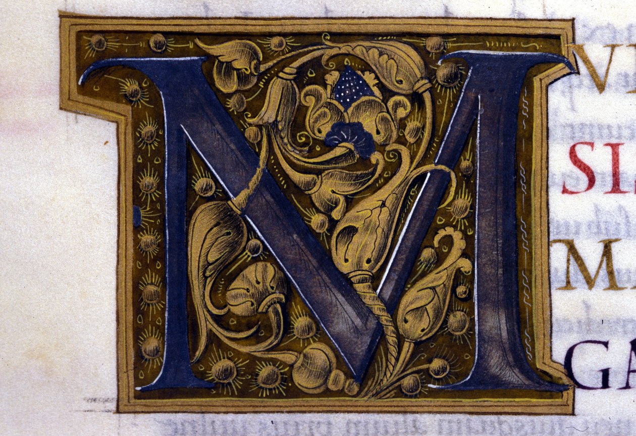 Alphabet: miniaturized letter M by Unknown artist